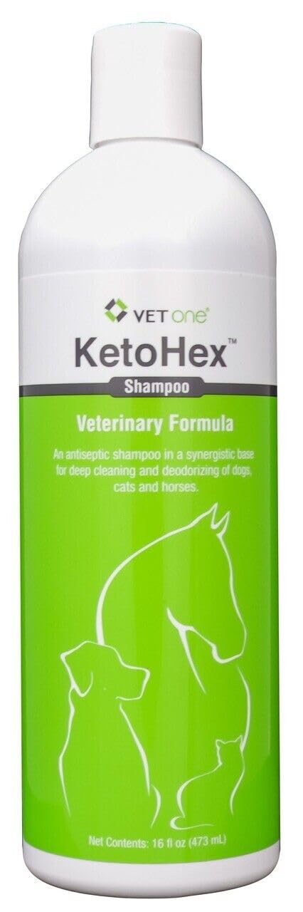 KetoHex Cat and Dog Shampoo - 16 oz Anti Bacterial Cat & Dog Flea And Tick Treatment, For Sensitive Skin Infections & Lesions, Protects & Moisturizes, Antifungal Treatment For Dogs & Cats - VetOne - BeesActive Australia
