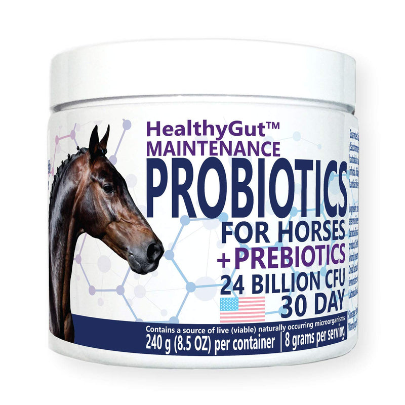 HealthyGut™ Probiotics for Horses Dietary Supplement, All-Natural Digestive System Maintenance Formula (30 Days) 30 Servings (Pack of 1) - BeesActive Australia