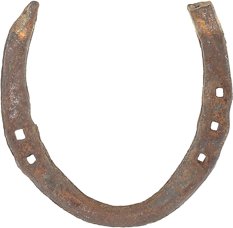 Wonder Care Horseshoe Authentic Used Horseshoe Good Luck Charm Rustic Auspicious Lucky Gift Cast Iron Real Horseshoe for Wall Decorations Prosperity and Fortune Iron (Rustic)