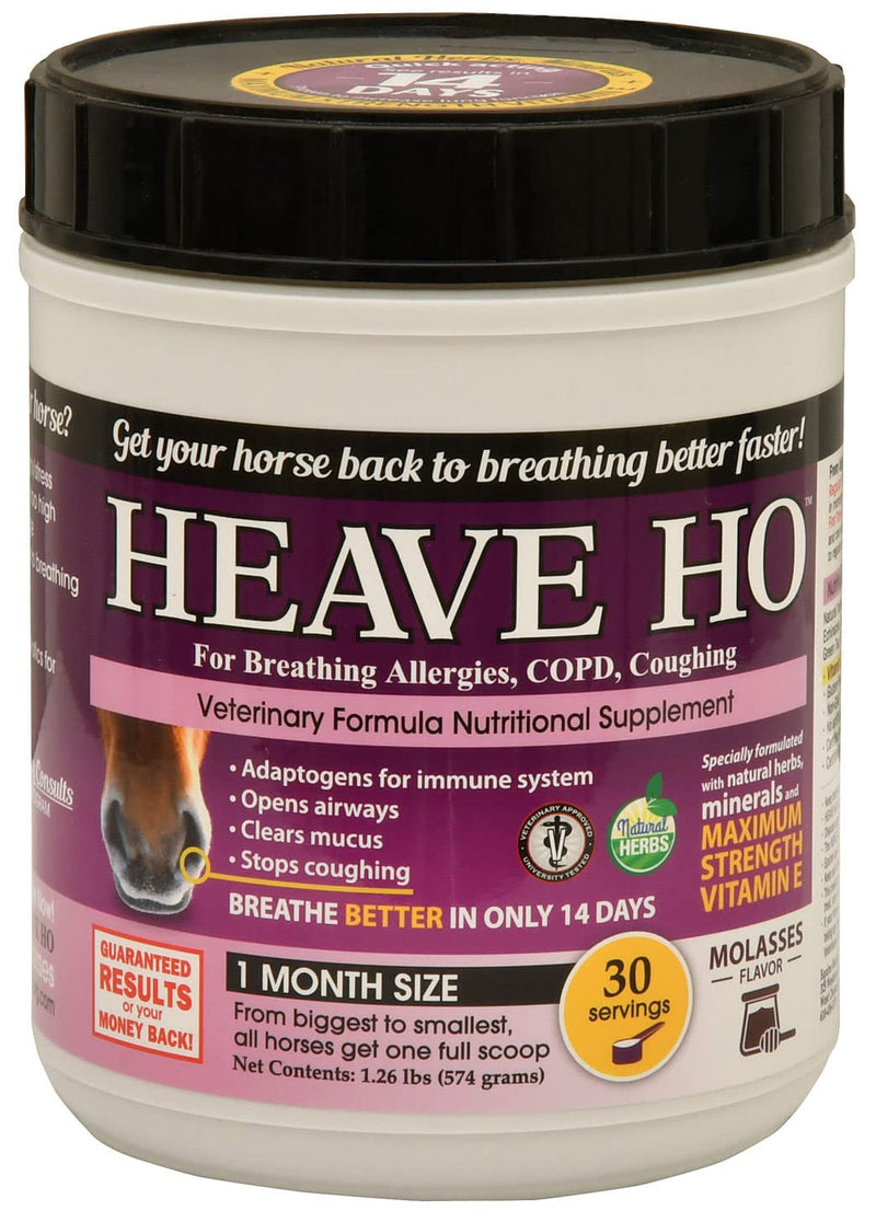 Horse Nutritional Supplement for Breathing Allergies, COPD, Coughing 30 Servings Sugar-Free Apple Apple Flavor, 30 Servings - BeesActive Australia