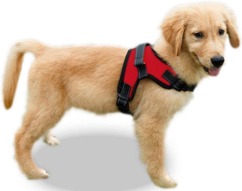 Dog Harness Small Sized Dog - All Weather Mesh overhead adjustable no pull Vest Puppy reflective Harness with handle for Small and Medium Dogs by Copatchy - Harness (Red) Small Red - BeesActive Australia