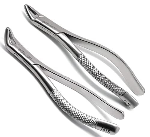 2 Pcs Dental Extracting Forceps 150s 151s Upper Lower Molar — ISO 9001 | CE Marked — Premium Instruments