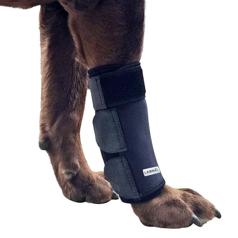 Labra Dog Front Leg Brace - Compression Wrap with Adjustable Straps - Dog Wrist Brace for Support - Leg Sleeve to Stop Licking - Aid in Wound Care and Recovery - Large/Extra Large - BeesActive Australia
