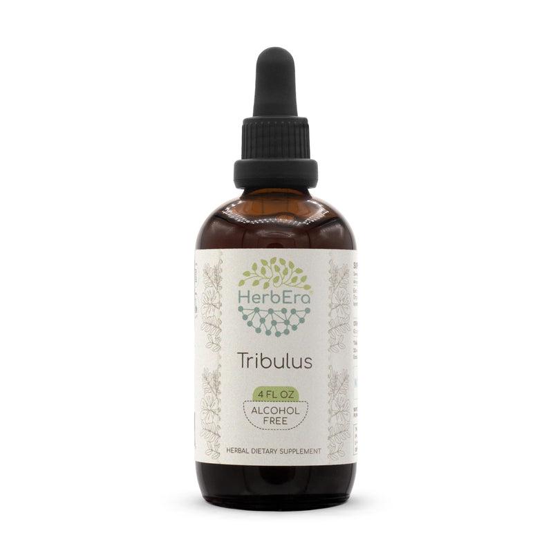 Tribulus B120 Alcohol-Free Herbal Extract Tincture, Concentrated Liquid Drops Natural Tribulus (Tribulus Terrestris) Dried Fruit (4 fl oz) 4 Fl Oz (Pack of 1) - BeesActive Australia