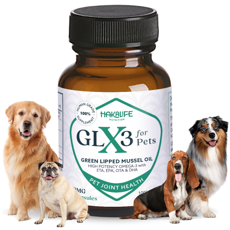 GLX3 Green Lipped Mussel Oil for Dogs | Joint & Hip Comfort Omega-3 Supplement | Ideal for All Dog Breeds and Ages | 1 Month Supply, 60 Soft Chews w/Natural Ingredients 1 pack - PawsPlanet Australia