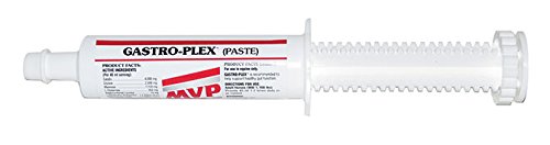 MVP Gastro-Plex Paste 5-Pack (10 doses) Gastric Stress Relief Paste for Horses - BeesActive Australia