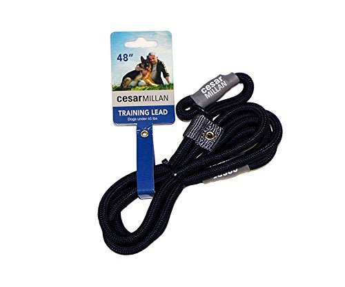 Cesar Millan Slip Lead Leash™ - 2-in-1 Slip Collar Dog Training Lead & Collar | Heavy Duty Durable Weatherproof Rope Leash, No Pull Training | length 4ft diameter 4/10”(Regular, Black) Regular - BeesActive Australia