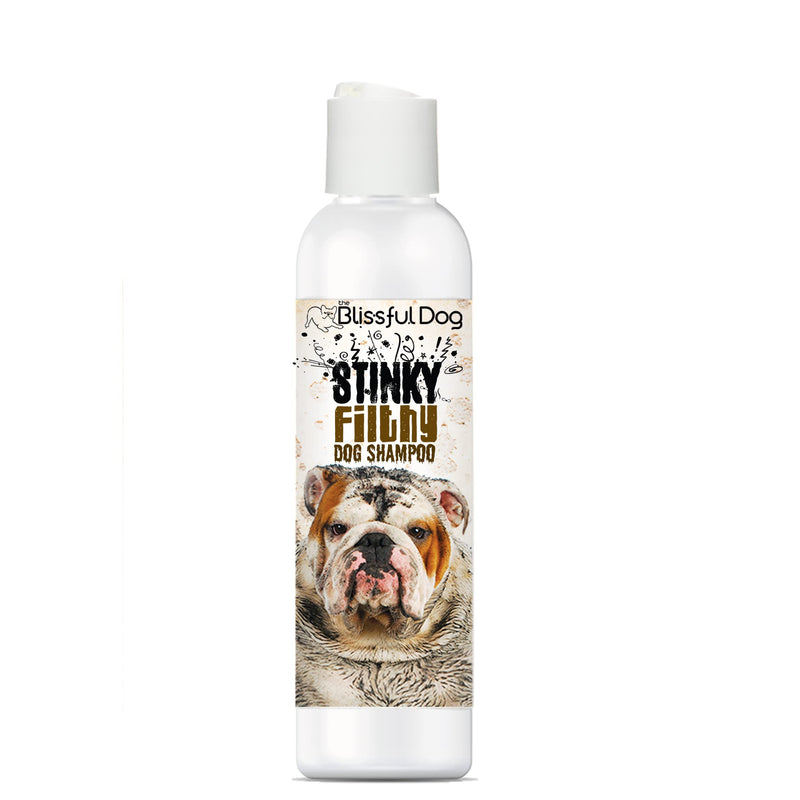 The Blissful Dog Stinky Filthy Dog Shampoo, 16 oz 16-Ounce - PawsPlanet Australia