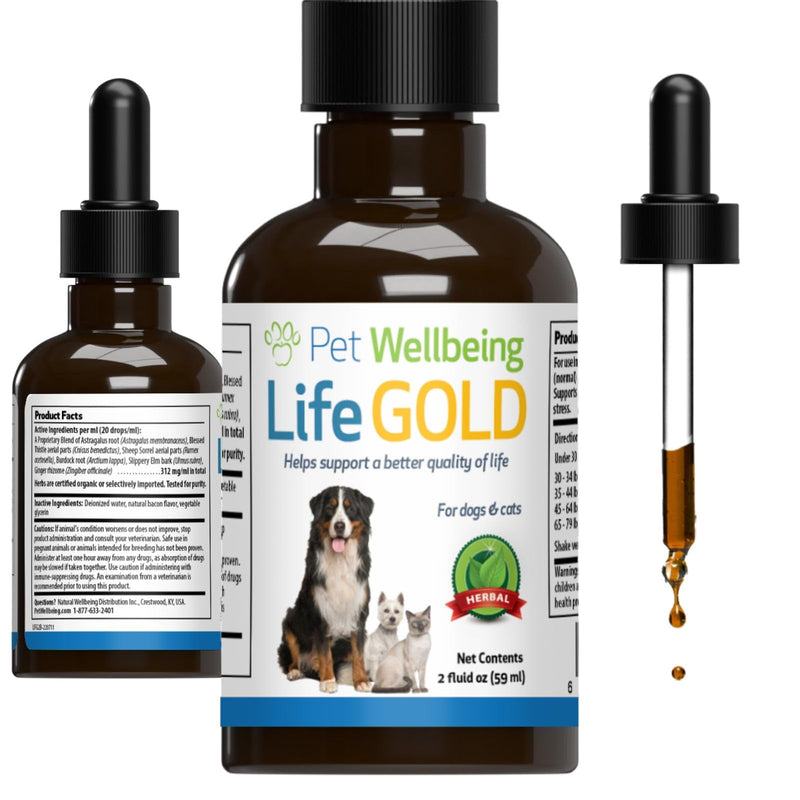 Pet Wellbeing Life Gold for Cats - Immune Support, Antioxidants, Detoxification, Cellular Health, Astragalus, Blessed Thistle, Sheep Sorrel - Veterinarian-Formulated Herbal Supplement 2 oz (59 ml) 2oz - BeesActive Australia