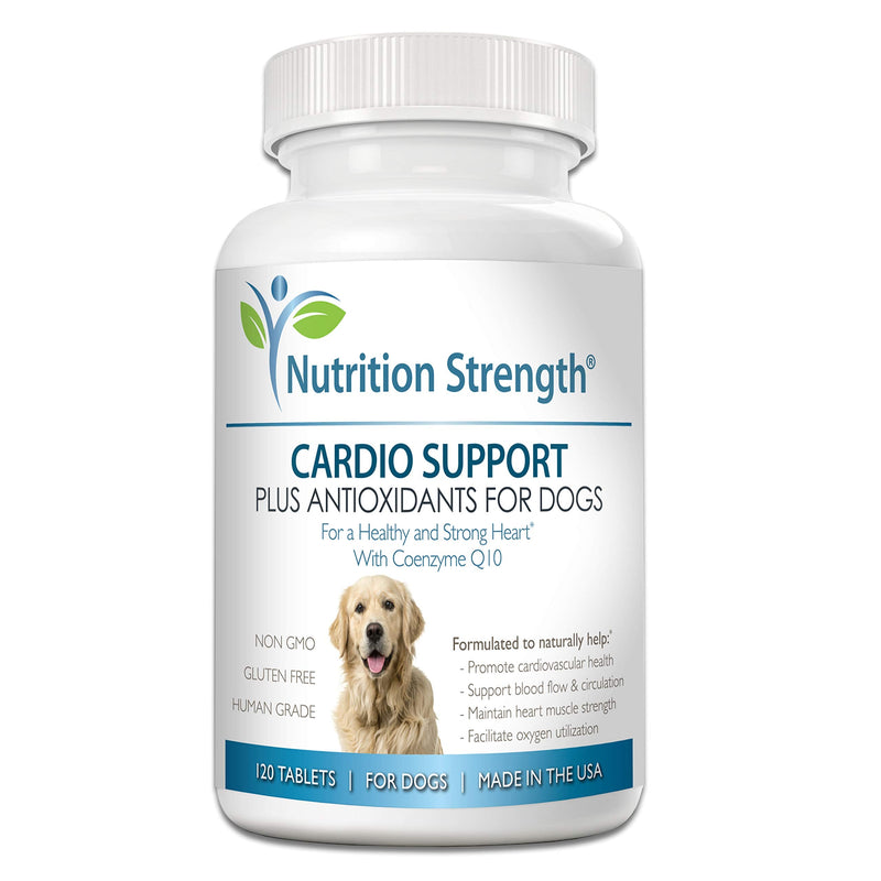 Cardio Support for Dogs Plus Antioxidant, L-Carnitine, L-Taurine, with Coenzyme Q10 and Vitamin E, Promotes a Healthy and Strong Dog Heart, 120 Chewable Tablets - BeesActive Australia