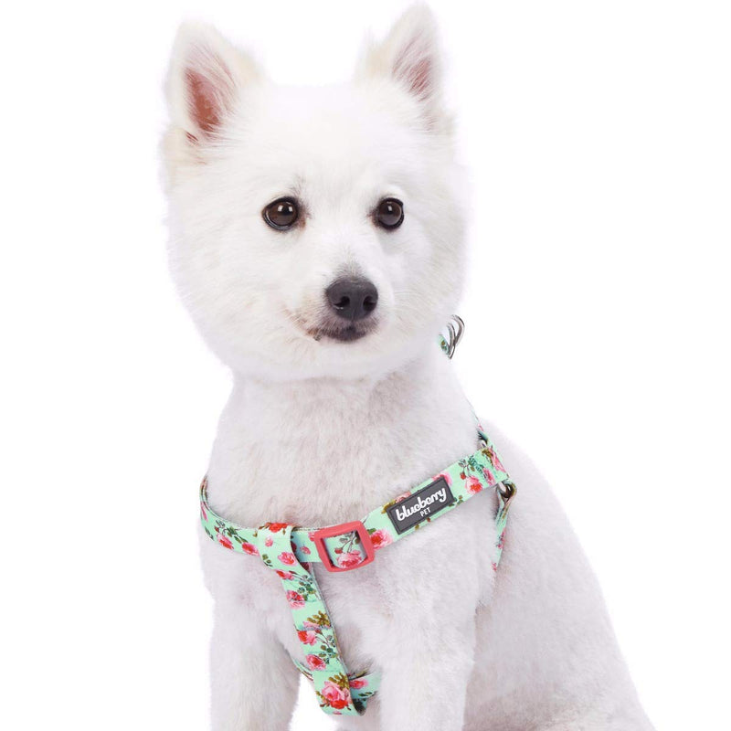 Blueberry Pet 9 Patterns Step-in Spring Scent Inspired Floral Rose Print Turquoise Dog Harness, Chest Girth 20" - 26", Medium, Adjustable Harnesses for Dogs (20" -26") Chest Girth (Pack of 1) - BeesActive Australia