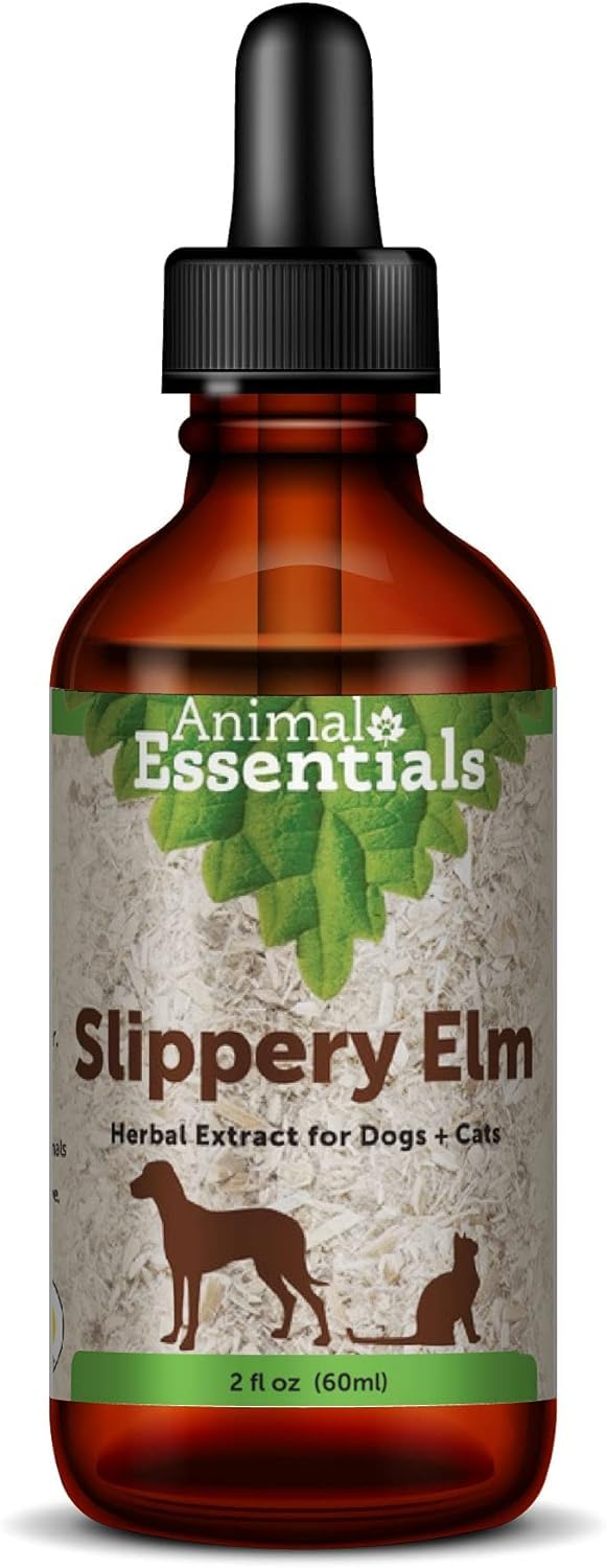 Animal Essentials Slippery Elm - Herbal Extract for Dogs and Cats, Promotes Healthy Digestion, Bowel Function, Certified Organic Herbs, All Natural, Respiratory Health, Liquid Formula - 2 Fl Oz 2 fl oz (60ml) - PawsPlanet Australia