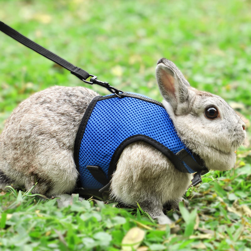 Pettom Bunny Rabbit Harness with Stretchy Leash Cute Adjustable Buckle Breathable Mesh Vest for Kitten Small Pets Walking (L(Chest:10.6-13.3 in), Blue) L(Chest:10.6-13.3 in) - BeesActive Australia