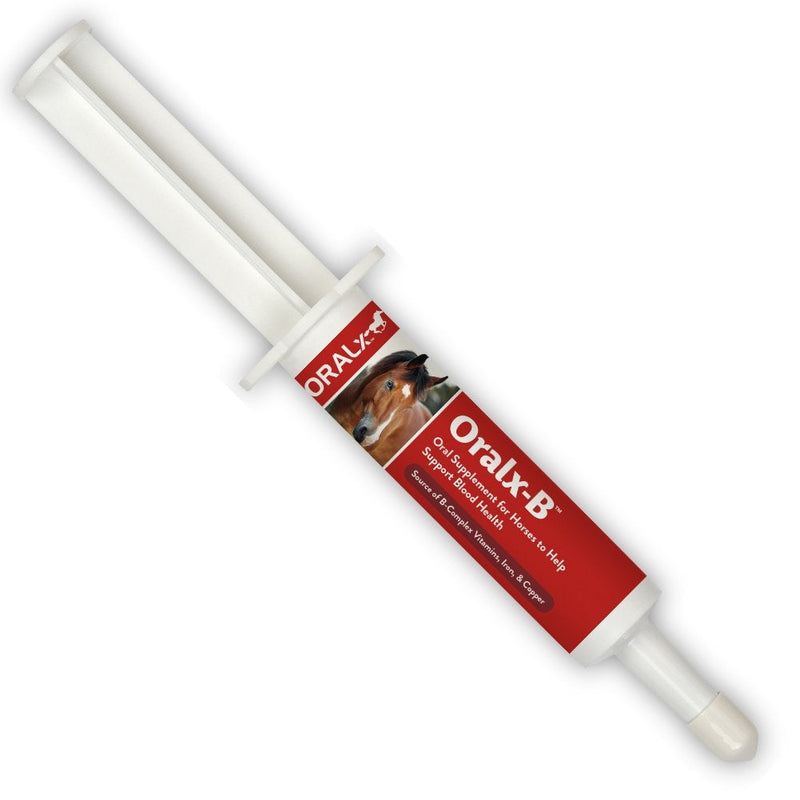 Oralx-B High-Potency B-Vitamin Complex and Chelated Mineral Booster. Nutritional Supplement for Hard-Working Horses. Oral Paste in Easy-Dose Syringe. Guaranteed Analysis. Made in USA. - BeesActive Australia