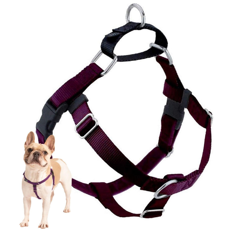2 Hounds Design Freedom No Pull Dog Harness | Comfortable Control for Easy Walking | Adjustable Dog Harness | Small, Medium & Large Dogs | Made in USA | Solid Colors | 1" LG Burgundy LG (Chest 28" - 32") - BeesActive Australia