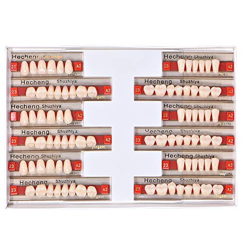 84 Pcs Dental Complete Acrylic Resin Denture False Teeth 3 Sets Synthetic Polymer Resin Denture Teeth 23 Shade A2 Upper + Lower Dental Materials