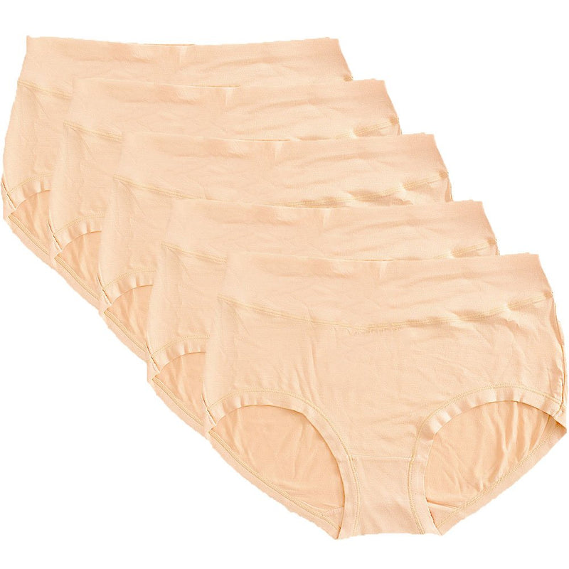 Warm Sun Women's Bamboo Viscose Fiber Multi Pack Plus Size Stretchy Soft Breathable High Middle Waist Panties Size S-3XL 6 Skin - BeesActive Australia