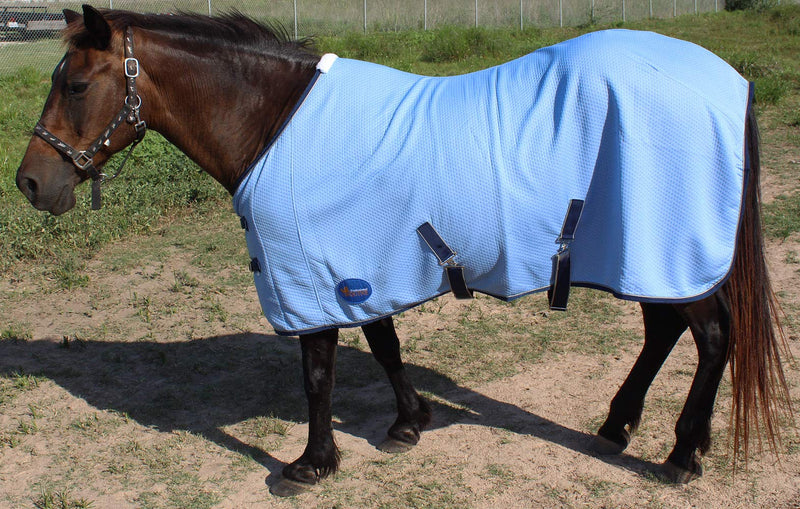 Horse Stretchable Cotton Sheet Blanket Rug Summer Spring Winter Blue 5340 74" - BeesActive Australia