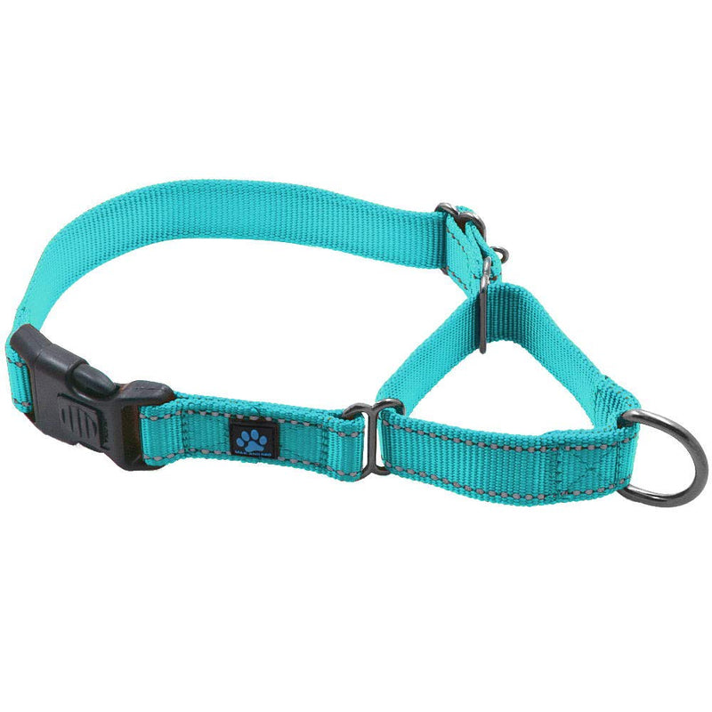 Max and Neo Nylon Martingale Collar - We Donate a Collar to a Dog Rescue for Every Collar Sold (Medium, Teal) Medium - BeesActive Australia