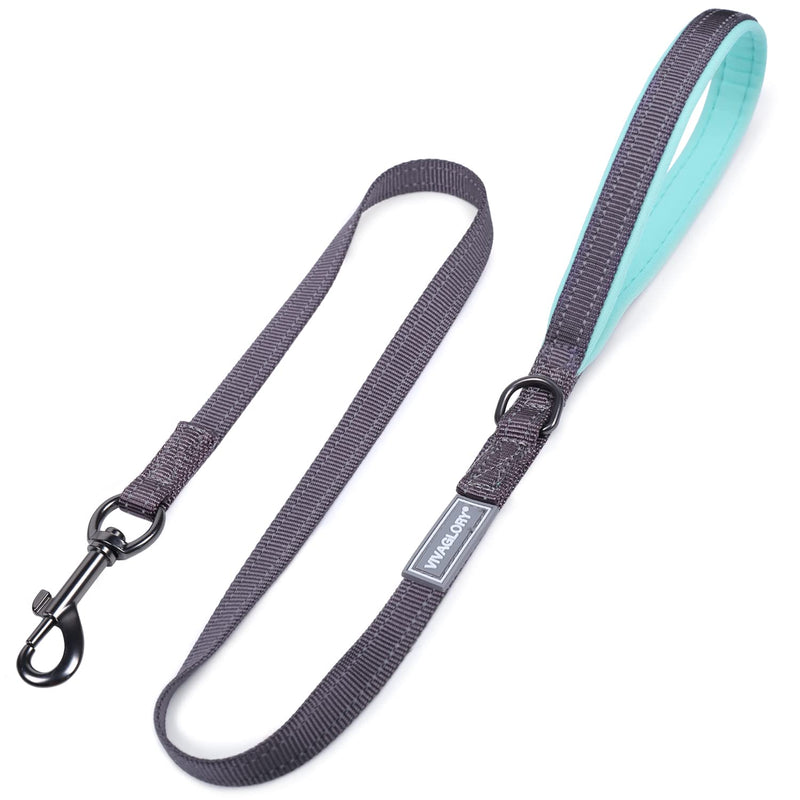 VIVAGLORY Dog Leash, Dog Training Leash with Comfortable Neoprene Padded Handle, Heavy Duty Walking Leash for Small & Medium Dogs 3 ft. x 1/2 in. (0~25 lbs.) Grey - BeesActive Australia