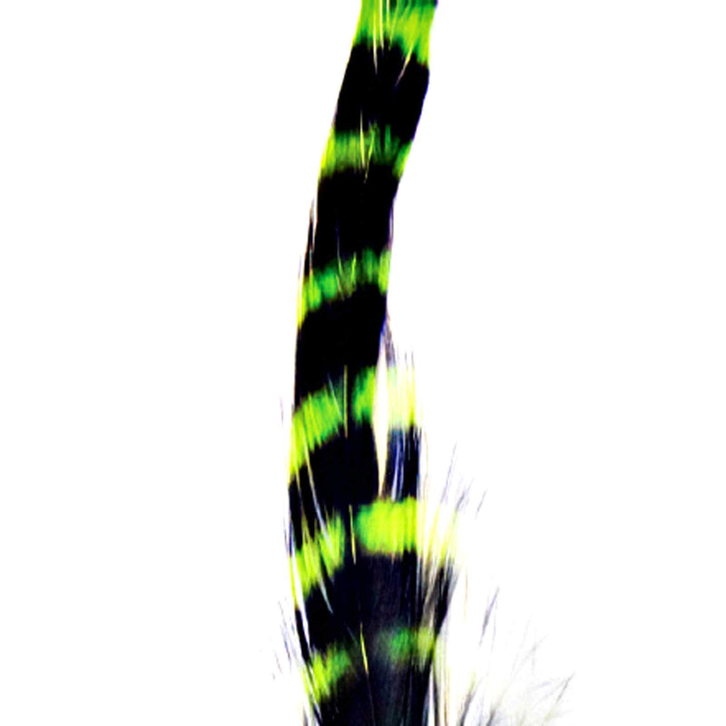 Montana Fly Company Barred Schlappen Fly Tying Feathers – Large Streamer & Articulated Fly Material Chartreuse/Black