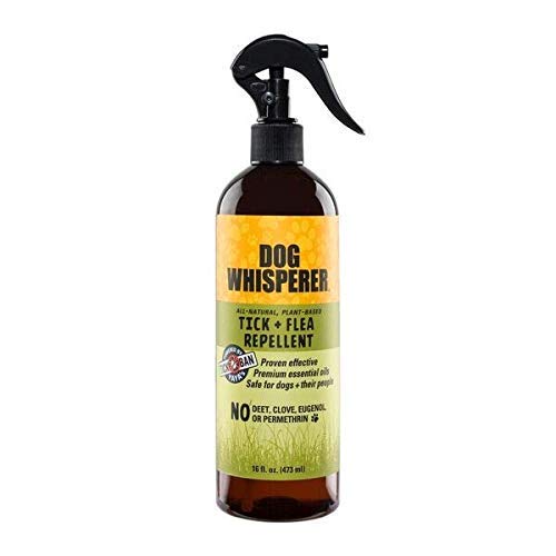 Dog Whisperer Tick + Flea Repellent, All-Natural, Extra Strength, Effective on Dogs and Their People (16 Ounce Spray) 16 oz - BeesActive Australia
