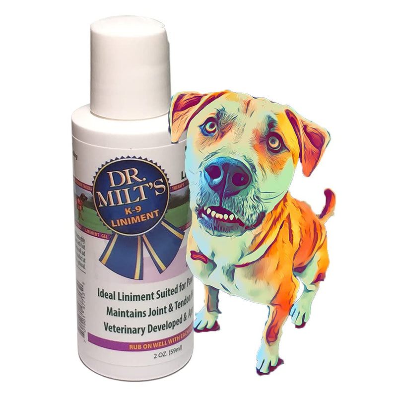 Dr. Milt's Dog Hip and Joint Pain Relief Spray and Gel, Topical Magnesium Sulfate & Arnica Ointment. Reduces Inflammation, Lessens Tenderness and Alleviates Nervousness. 1-2oz Gel 1 - 2oz Gel - BeesActive Australia