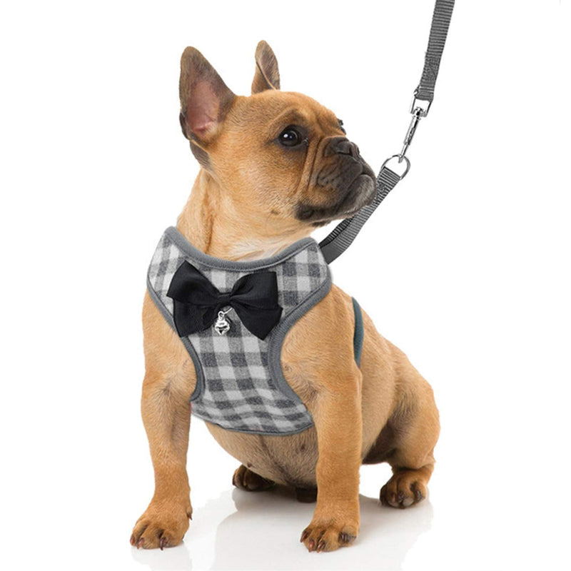 Rypet Small Dog Harness and Leash Set - No Pull Pet Harness with Soft Mesh Nylon Vest for Small Dogs and Cats Gray M Medium (7-15 lbs) - BeesActive Australia