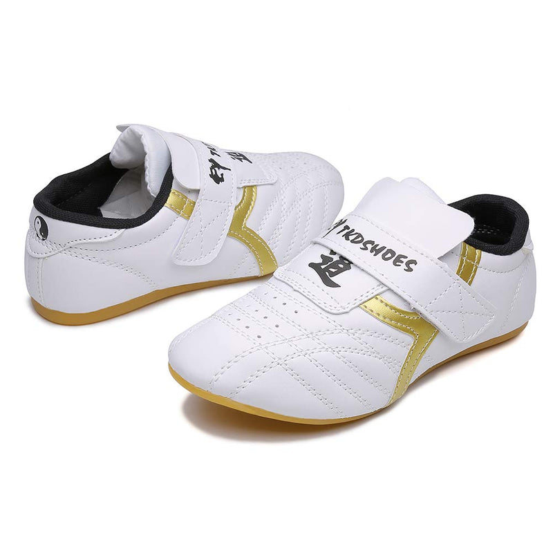 MSMAX Art Taekwondo Shoes Light Weight Boxing Karate Kung Fu Tai Chi Sneakers 10.5 Toddler White