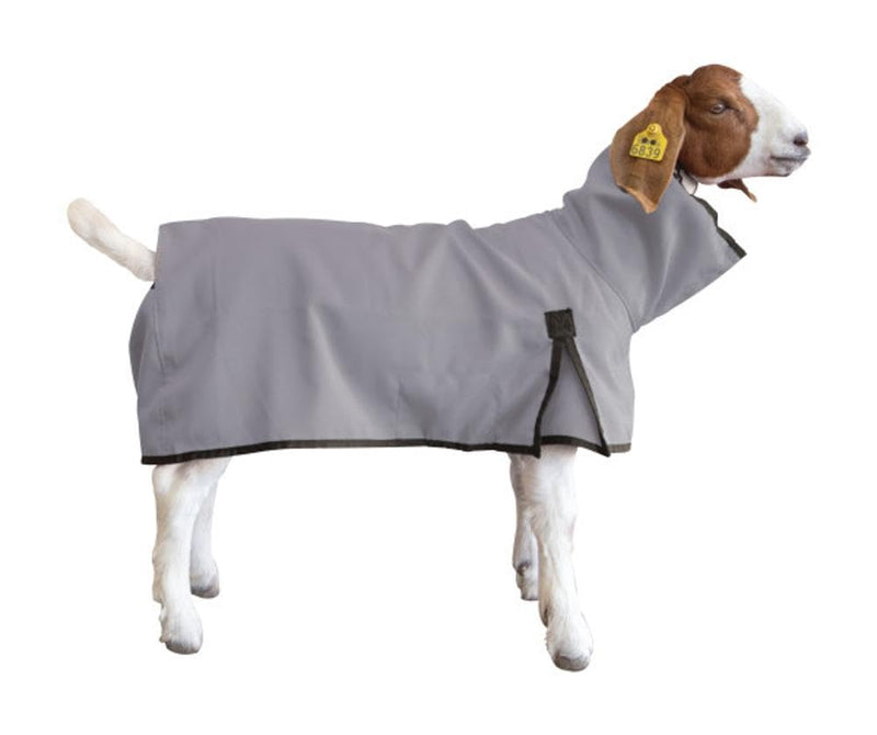 Weaver Livestock Goat Blanket Medium Gray - BeesActive Australia