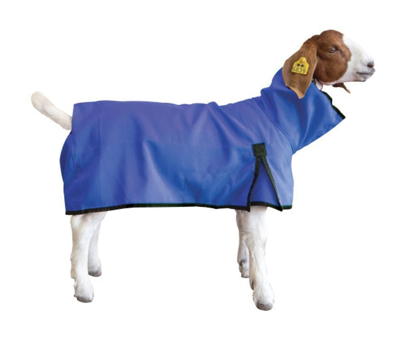 Goat Blanket, Medium, Blue - BeesActive Australia