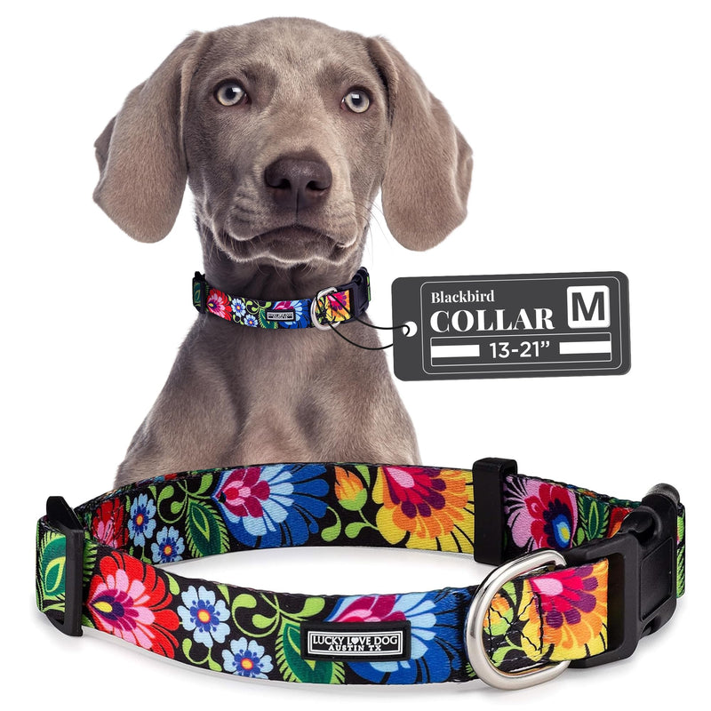 Lucky Love Dog - Adjustable Dog Collar with Easy Click Buckle for Small to Large Dogs, Durable, & Comfortable Collar for Male & Female Dogs, Pet Collar for Puppies & Adult Dogs - Blackbird, Medium Medium | 13-21" Blackbird Collar Only - BeesActive Australia