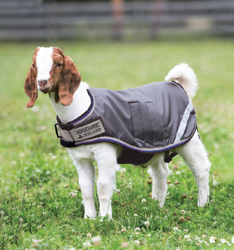 Horseware Ireland Breathable Waterproof Windproof Cold Weather Adjustable Goat Coat (100g Fill) Excalibur/Silver/Strong Blue/Black XX-Large - BeesActive Australia