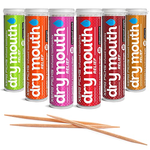 XERO PICKS® Dry Mouth Toothpicks – Xylitol Infused Flavored Toothpicks for Fresh Breath & Saliva Support – Long Lasting Oral Hydration – Variety 6 Pack (Cinnamon Mint, Churro, Caramel Apple & More) 20 Count (Pack of 6)