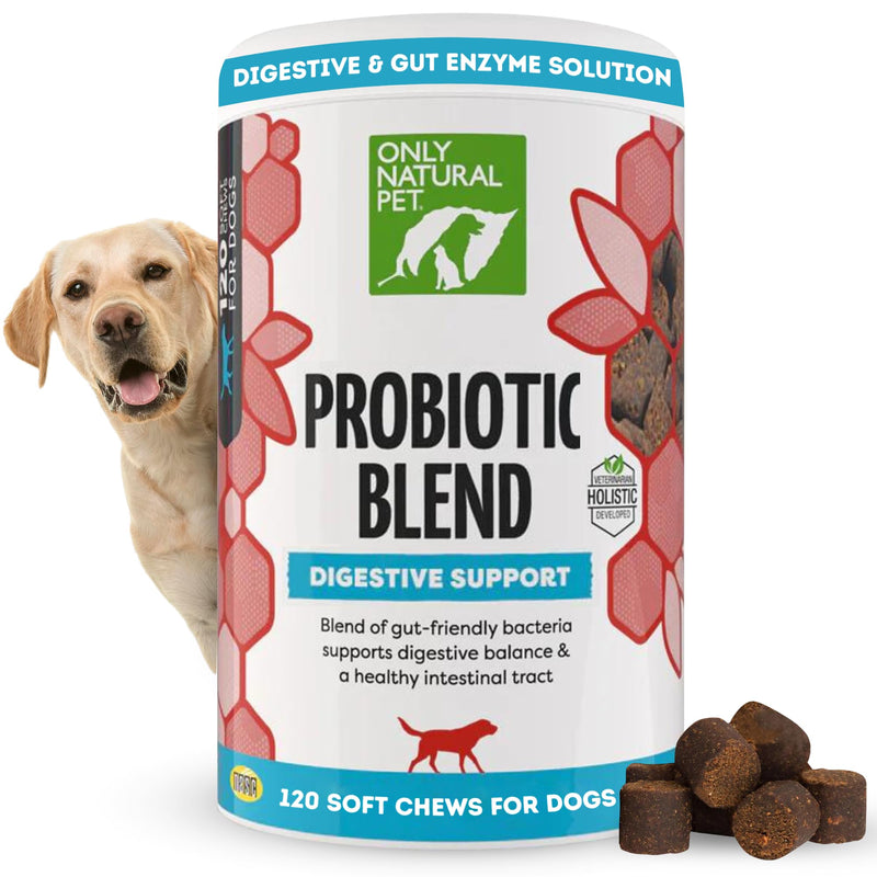 Only Natural Pet Probiotic Dog and Cat Supplement - Digestive & Gut Health Enzyme Formula, Puppy & Canine Digestive Chews, Best for Stomach Relief & Gas Aid - Soft Chews, 120 Count. - BeesActive Australia