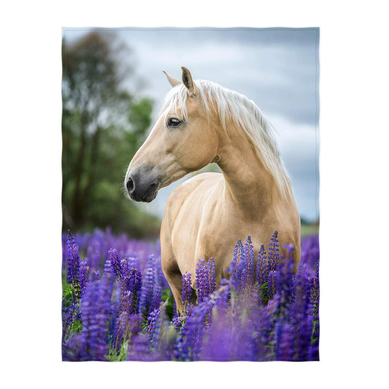 60 x 80 Inch Lavender with Horse Pattern Super Soft Throw Blanket for Bed Sofa Lightweight Blanket for All Seasons Colour 3 - BeesActive Australia