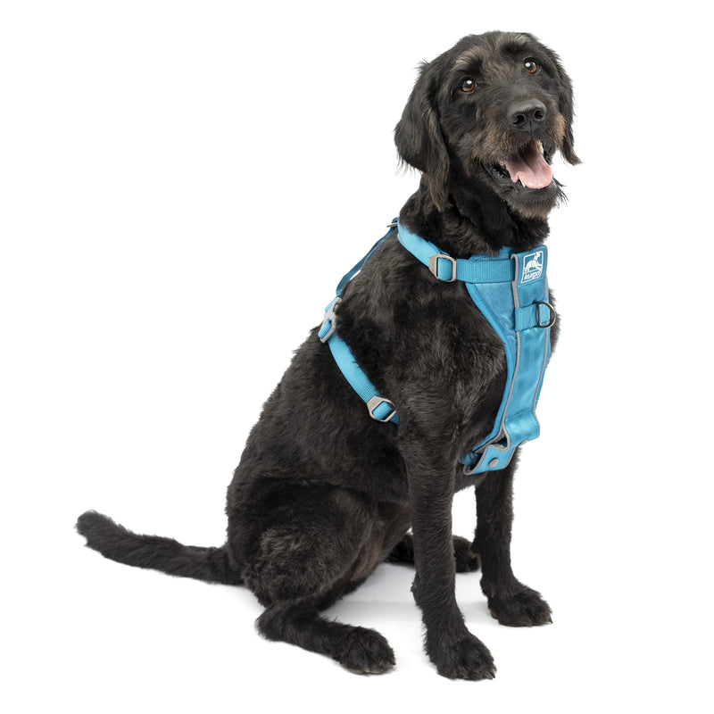 Kurgo Tru-Fit Smart Harness, Dog Harness, Pet Walking Harness, Quick Release Buckles, Front D-Ring for No Pull Training, includes Dog Seat Belt Tether (Blue, Large) Blue Large (Pack of 1) - BeesActive Australia