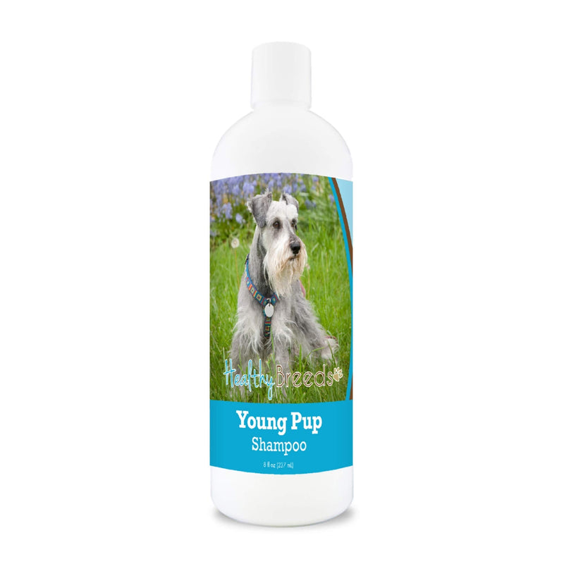 Healthy Breeds Miniature Schnauzer Young Pup Shampoo 8 oz - PawsPlanet Australia