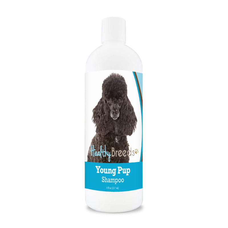 Healthy Breeds Poodle Young Pup Shampoo 8 oz - PawsPlanet Australia