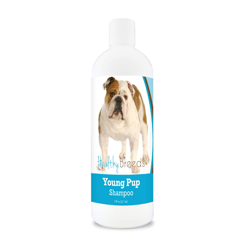 Healthy Breeds Bulldog Young Pup Shampoo 8 oz - PawsPlanet Australia