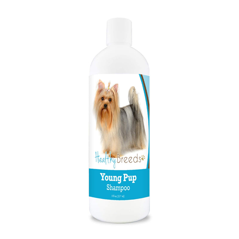 Healthy Breeds Yorkshire Terrier Young Pup Shampoo 8 oz - PawsPlanet Australia