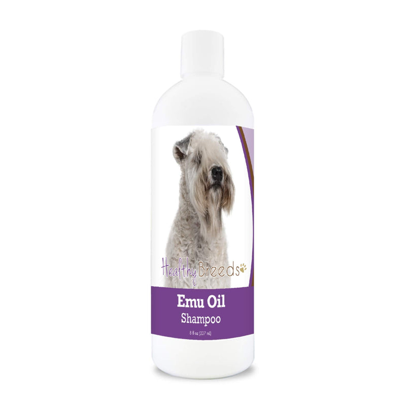 Healthy Breeds Soft Coated Wheaten Terrier Emu Oil Shampoo 8 oz - PawsPlanet Australia