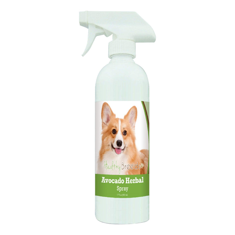 Healthy Breeds Pembroke Welsh Corgi Avocado Herbal Spray 17 oz