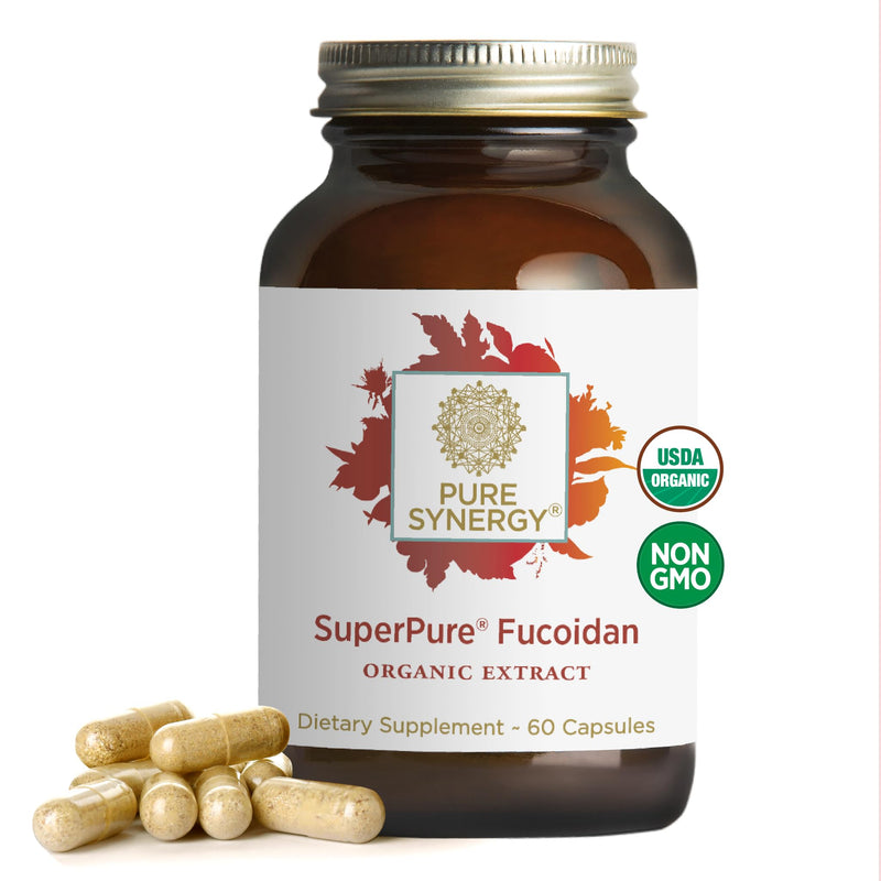 PURE SYNERGY SuperPure Fucoidan Extract (60 Capsules) | Gluten-Free Fucoidan from Organic Brown Seaweed, For Immune Health, Digestion, & Healthy Aging Support