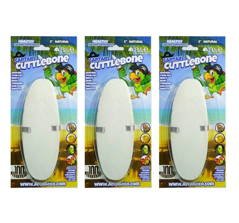 A&E Cage Captain Cuttlebone, 5 Inch, Healthy Calcium Supplement for Finches, Canaries, Parakeets, and Lovebirds (3 Pack - 5 in)