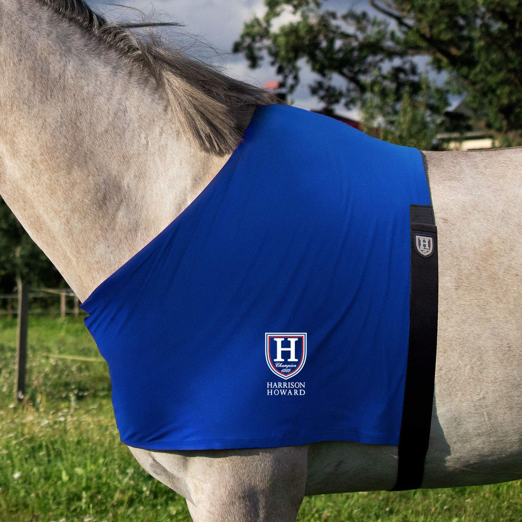 Harrison Howard Stretch Vest Anti Rub Bib Wither Shoulder Guard Horse Chest Saver Protector Blue M Cob (Medium)