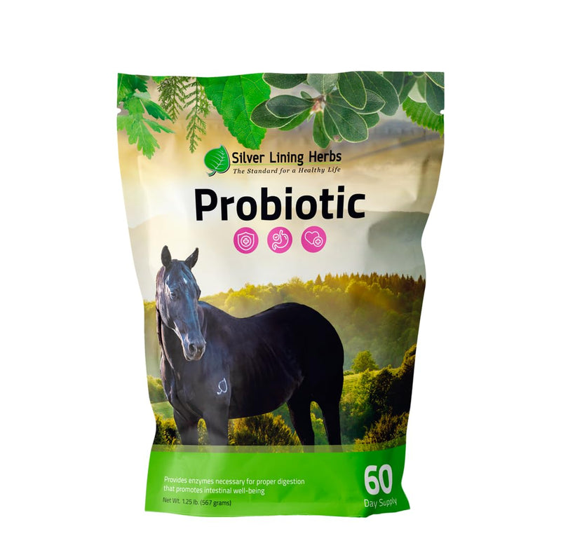 Silver Lining Herbs Horse Probiotic - Micro Encapsulated Probiotics for Equine Digestive Support and a Healthy Gut - Natural Source of Beneficial Bacteria and Enzymes - 1.25 lb Bag - PawsPlanet Australia