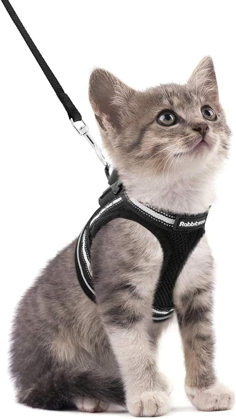 rabbitgoo Cat Harness and Leash Set for Walking Escape Proof, Adjustable Soft Kittens Vest with Reflective Strip for Cats, Comfortable Outdoor Vest, Black, S Small - BeesActive Australia