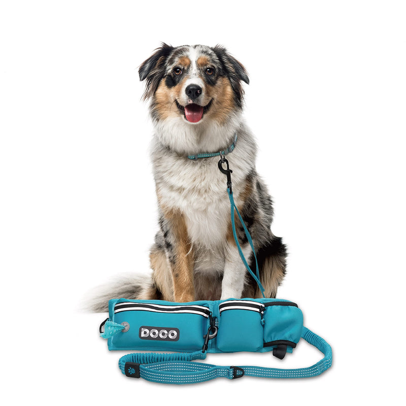 DOCO Hands Free Dog Leash (Waist 26”- 48”, Leash- 1”x 5ft) Waist Belt for Walking, Running & Hiking, Bungee with Dual Handles, Adjustable Fit, Reflective Safety Design for Large Dogs (Turquoise) Turquoise - BeesActive Australia