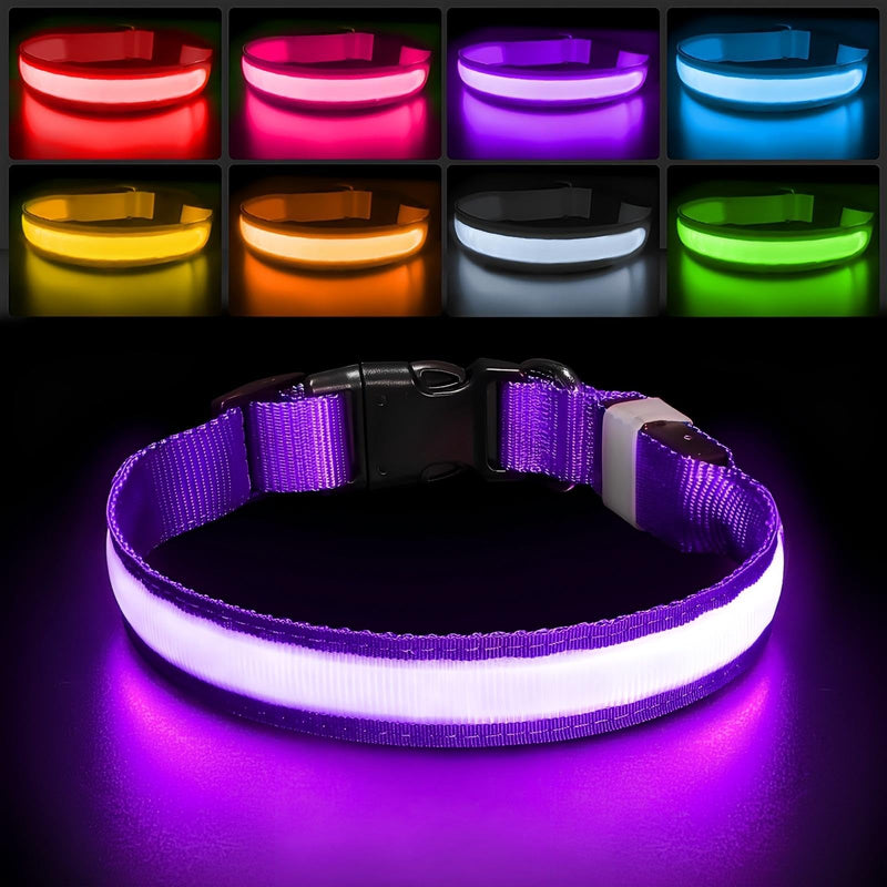 PcEoTllar Light up Dog Collar for Night Walking - LED Dog Collar Light Rechargeable Color Changing, Glow in The Dark Dog Collars Waterproof Glowing Dog Collars for Large Small Medium Dogs Purple M(15 inch-19.7 inch) - BeesActive Australia